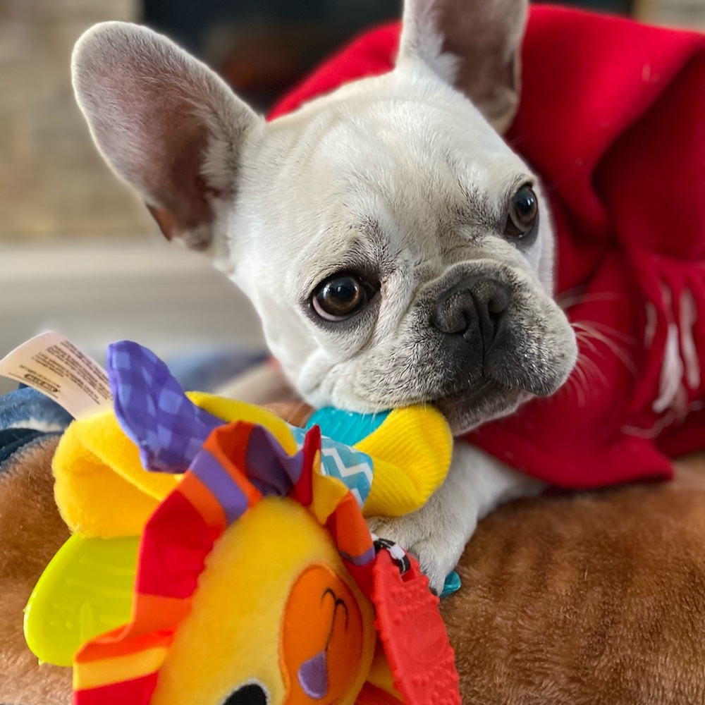 Meet your Posher, Alisha